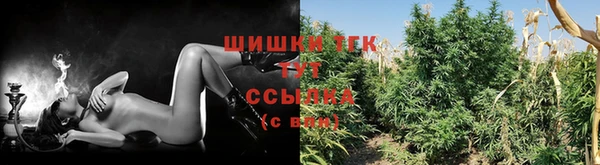 ПСИЛОЦИБИНОВЫЕ ГРИБЫ Белоозёрский
