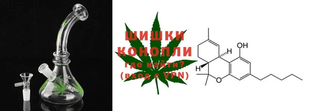 ПСИЛОЦИБИНОВЫЕ ГРИБЫ Белоозёрский