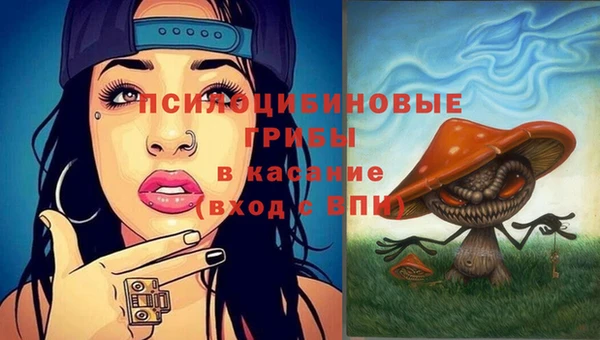 СК Богданович