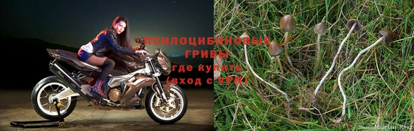 скорость Белокуриха