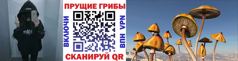 закладки  Велиж  Псилоцибиновые грибы MAGIC MUSHROOMS 